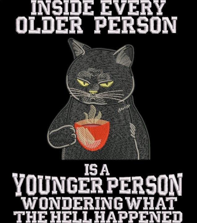 Inside Every Older Person Funny Cat Saying 